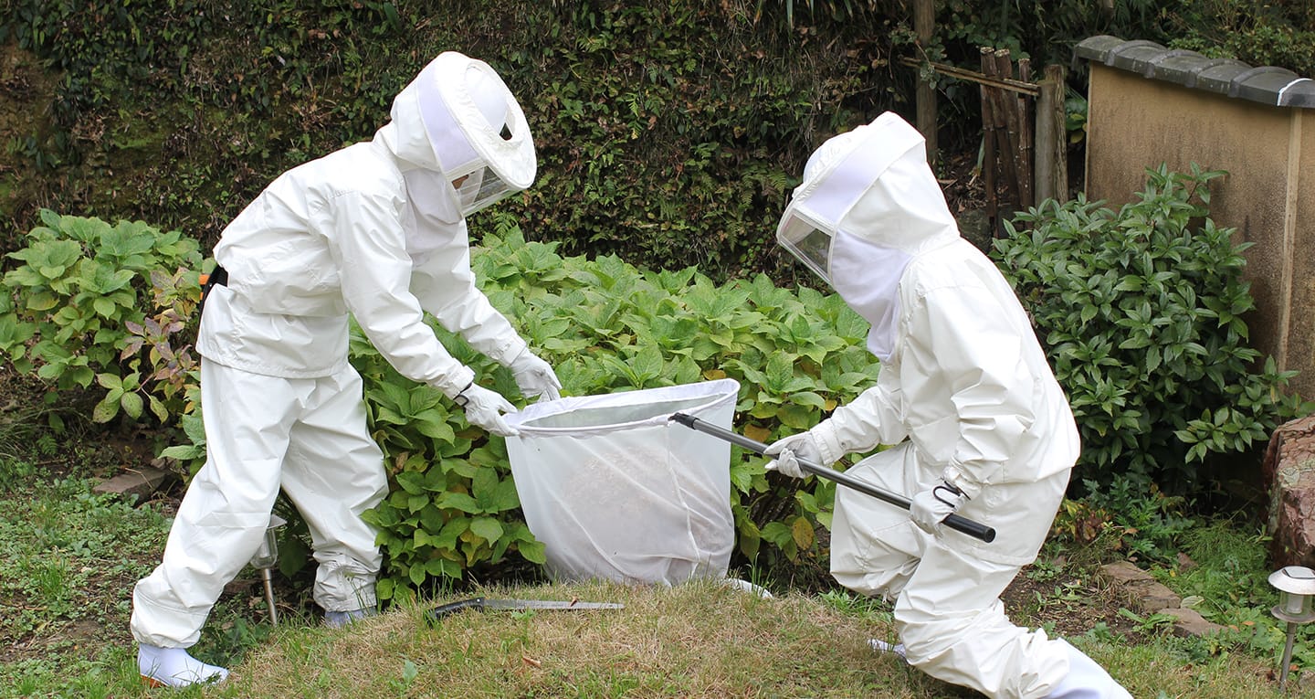 防護服を着た二人のスタッフがハチの巣の駆除をしている場面